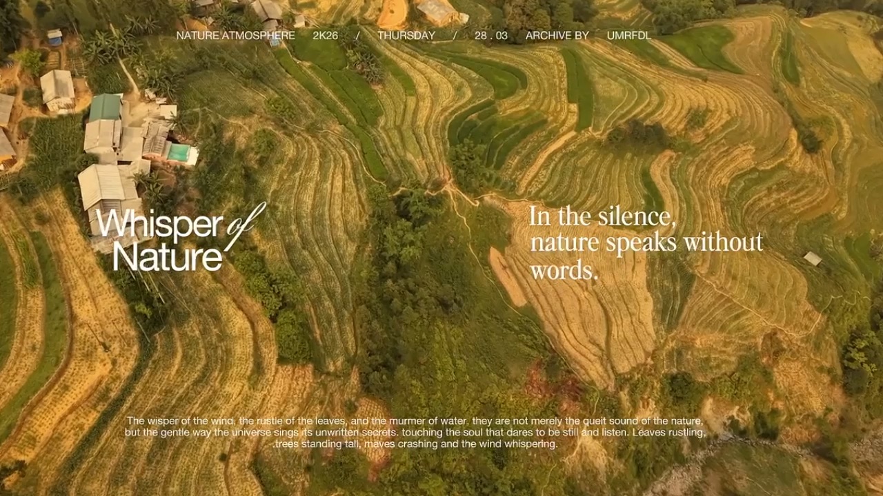 Rizières en terrasses de Hà Giang filmées par drone