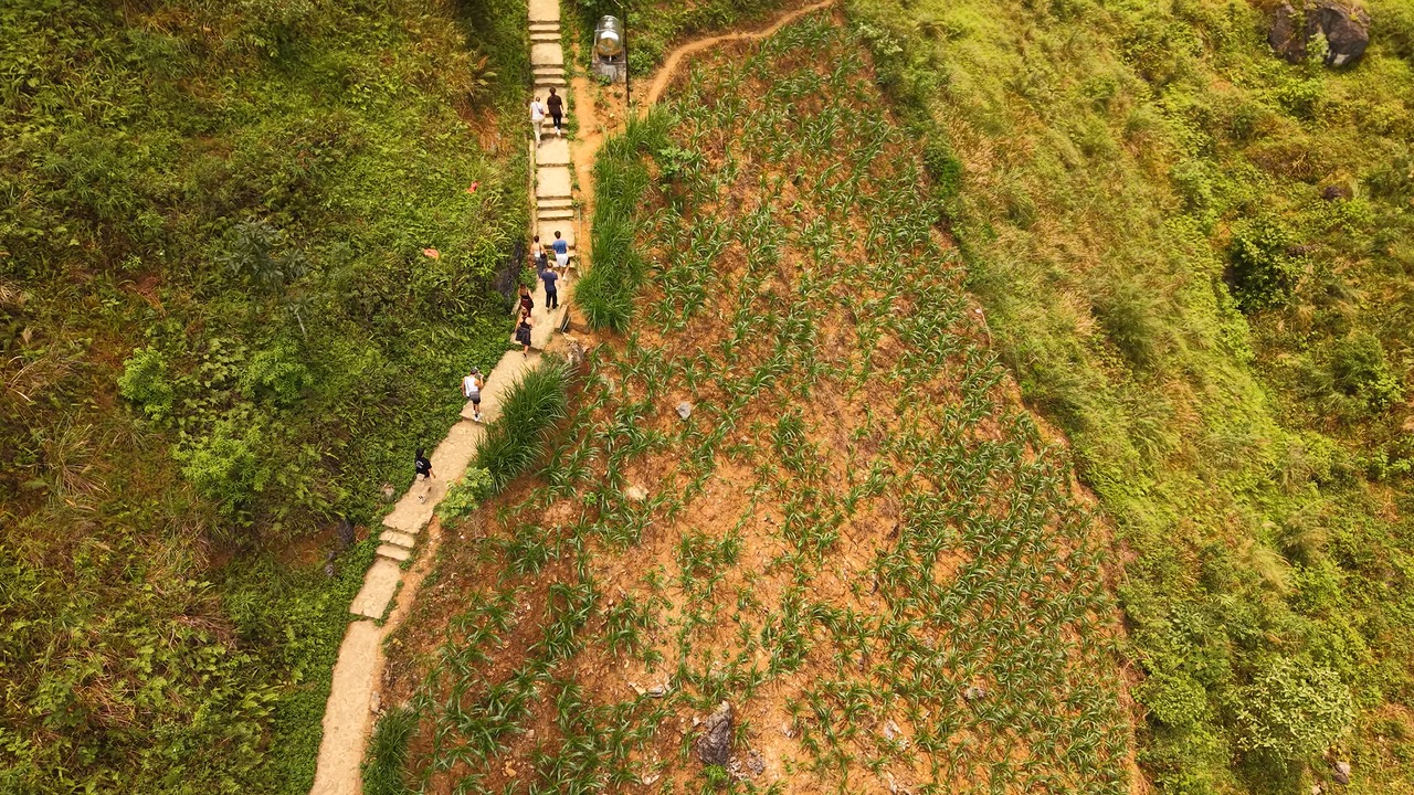Sentier à flanc de montagne filmé par drone à Hà Giang